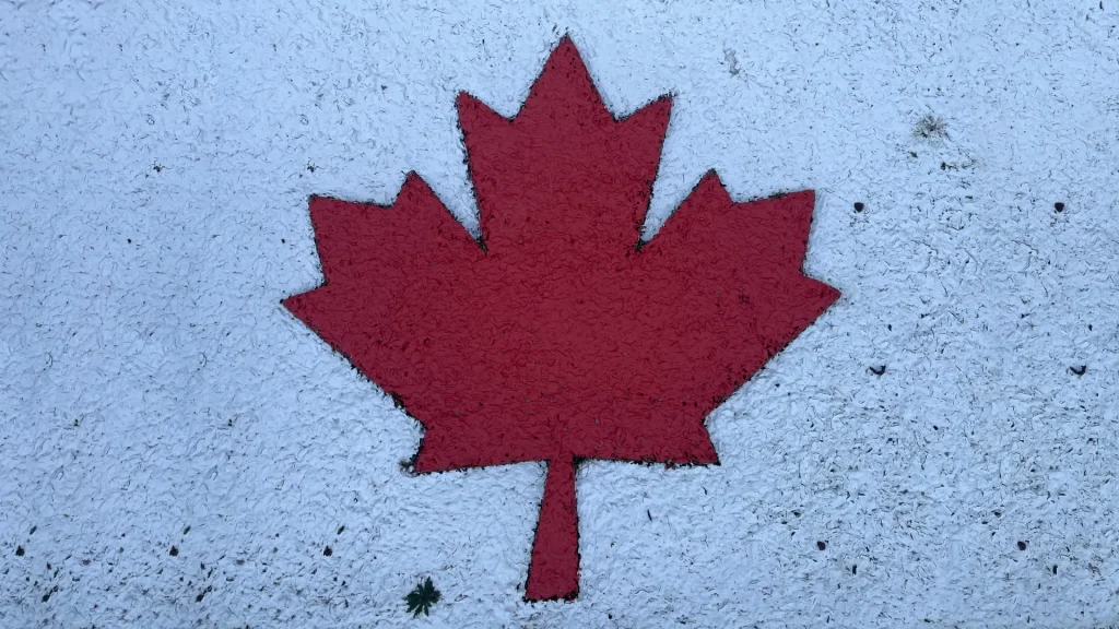 A vibrant red maple leaf painted on a textured white surface, symbolizing the canadian flag.