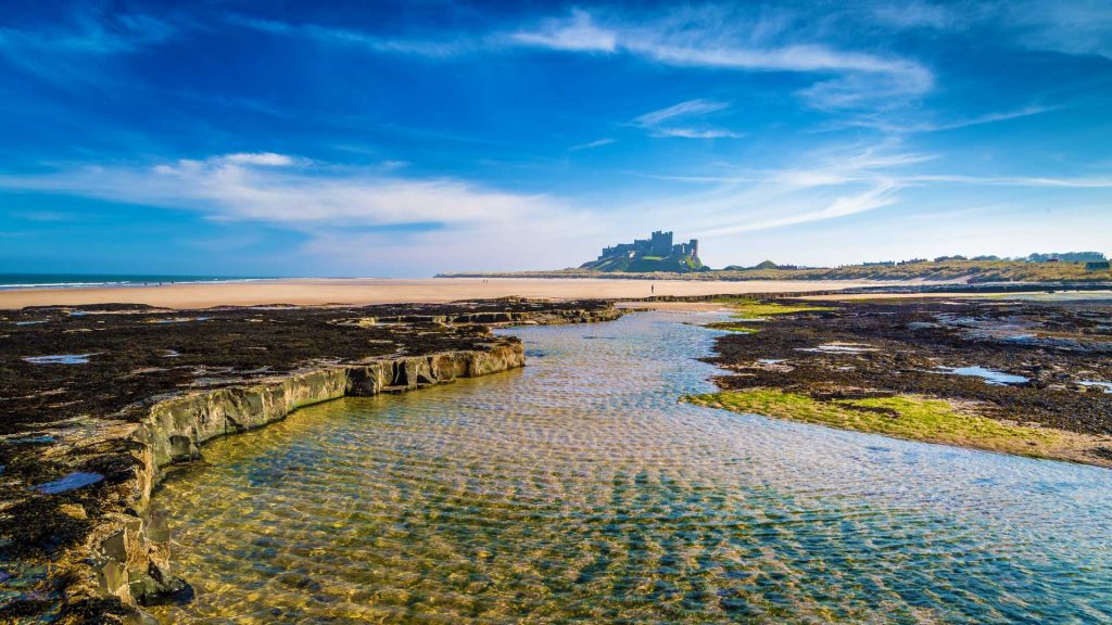 A scenic view of bamburgh castle on a clear day, overlooking a blue sky and beach with exposed rocks and seawater pools in the foreground.