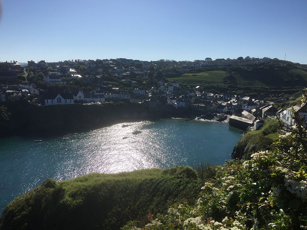 A picturesque view of a coastal village with clustered houses overlooking a bay with sparkling water, surrounded by lush green cliffs under a clear blue sky.