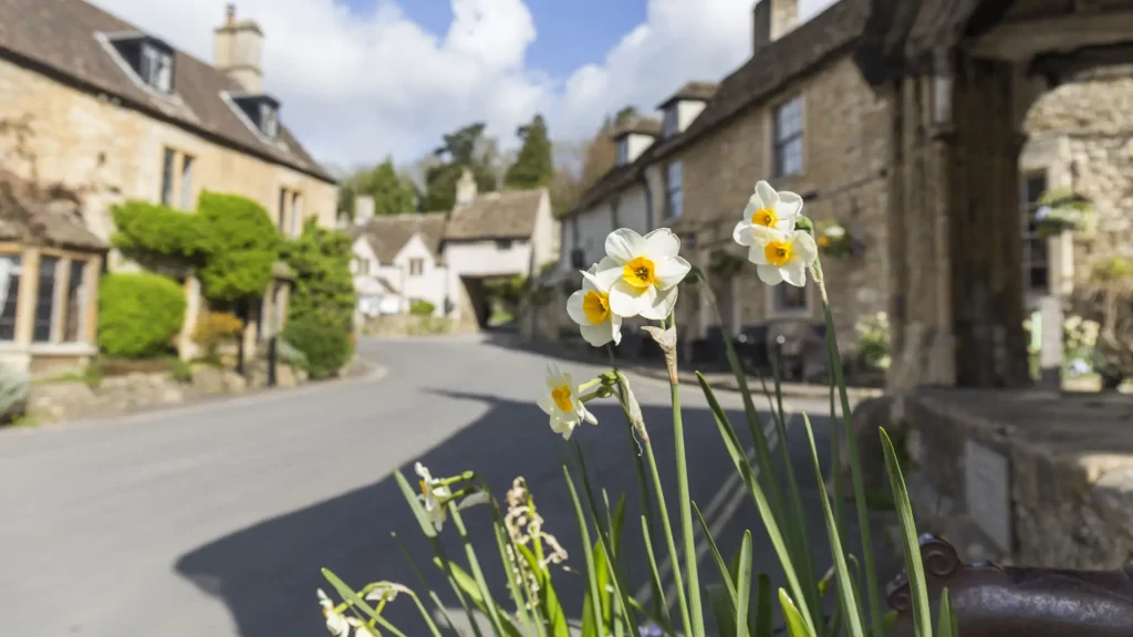 White daffodils in sharp focus in the foreground, with a softly blurred background of a quaint village street lined with traditional stone houses on a sunny day.