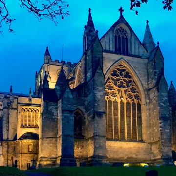 A majestic gothic cathedral illuminated at twilight, with detailed stained glass windows and surrounded by silhouetted trees under a dusky blue sky.