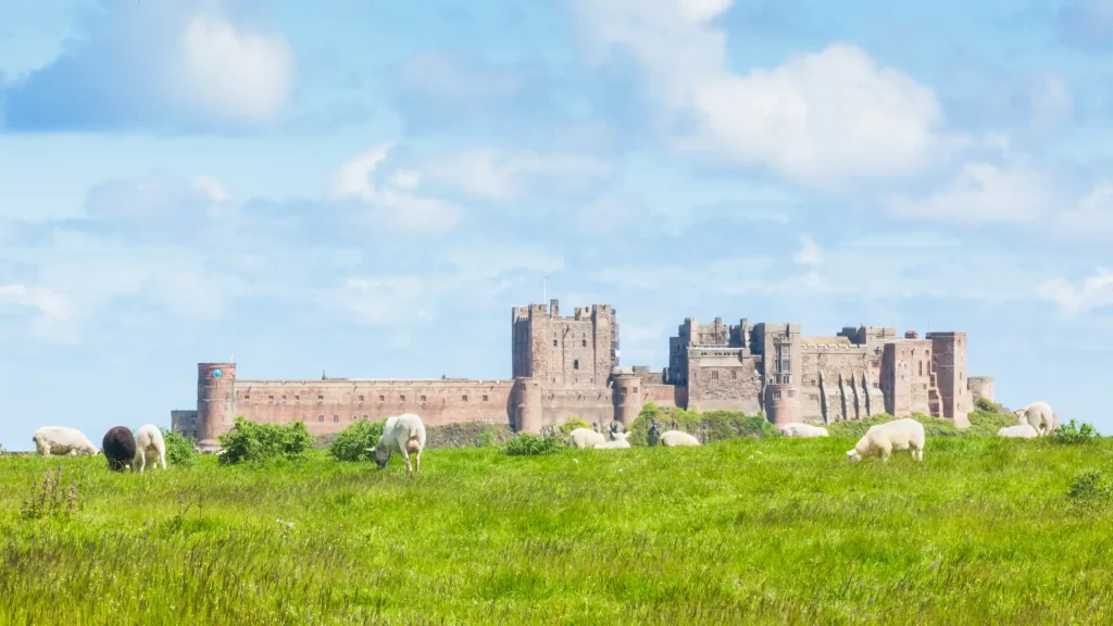 A panoramic view of a majestic ancient castle with multiple towers, surrounded by a lush green meadow under a bright blue sky with fluffy clouds, with sheep grazing peacefully in the foreground.