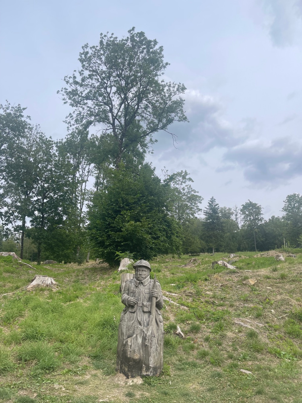 A wooden sculpture of a person holding a basket stands in the foreground of a deforested area with scattered tree stumps, under a cloudy sky.