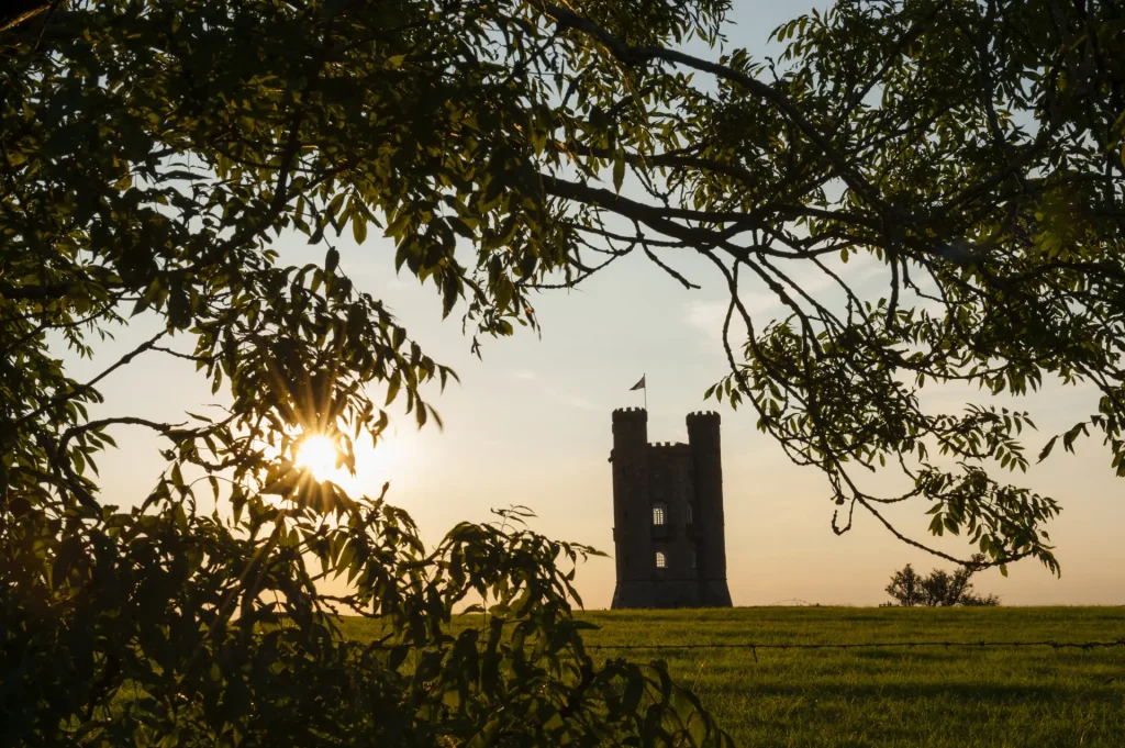 Sunset behind a solitary castle tower in a vast field, framed by overhanging tree branches in the foreground.