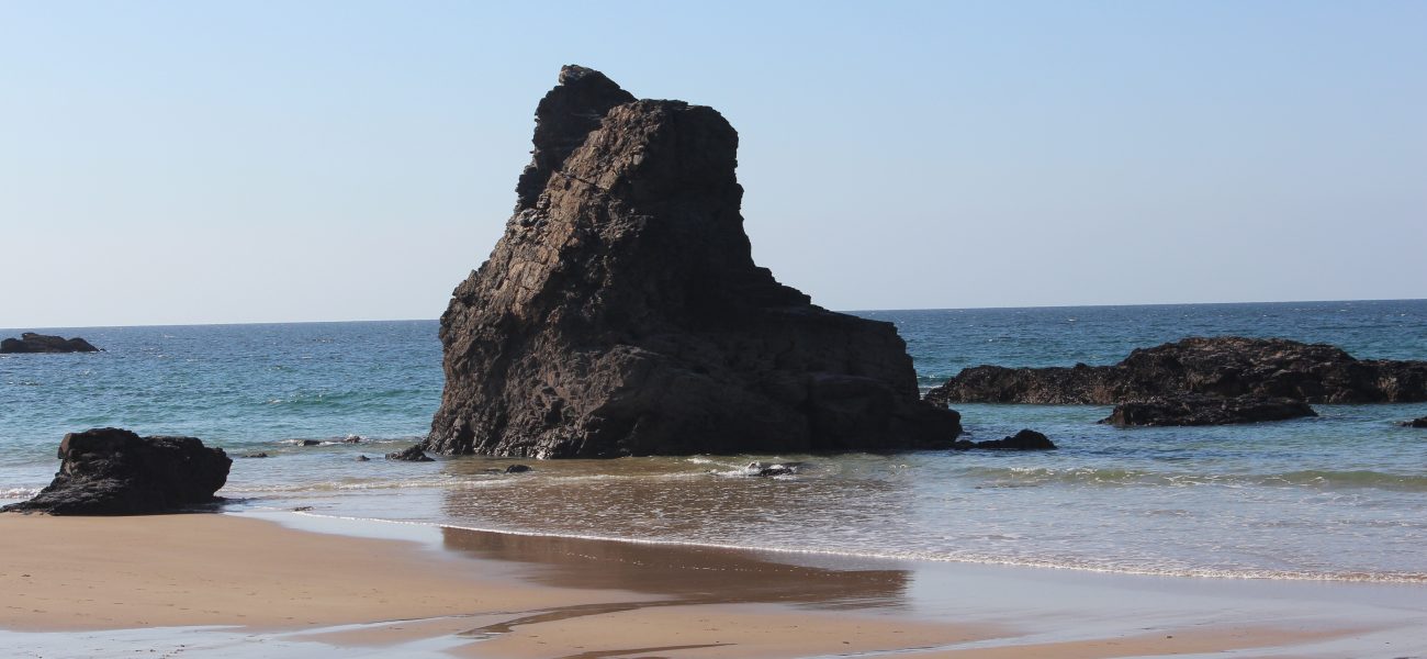 West Cornwall - 1 Day Tour
